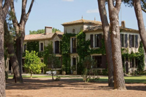 Domaine de la JASSO, Grand luxe au pied de la Cité de Carcassonne, piscines et parc animalier